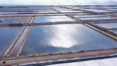 Équipement industriel des salines : machines et solutions de production de sel